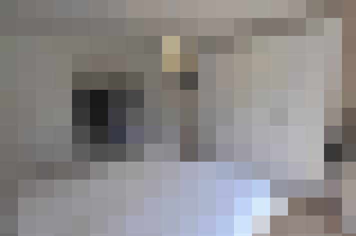 Image 13