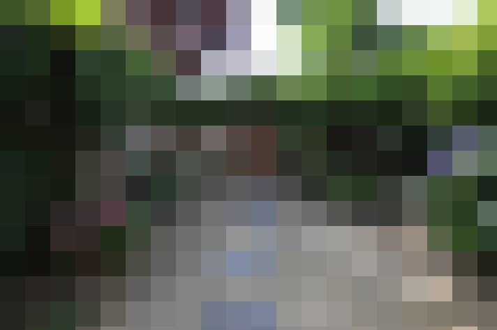 Image 25