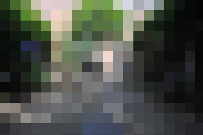 Image 26
