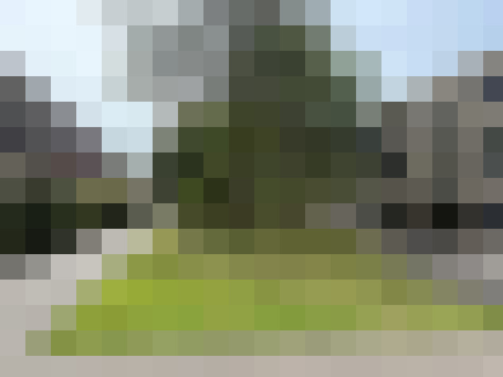 Image 36