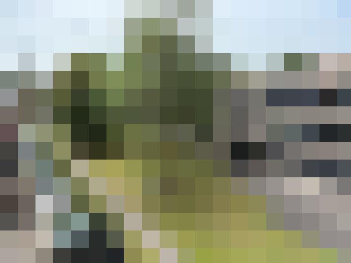 Image 32