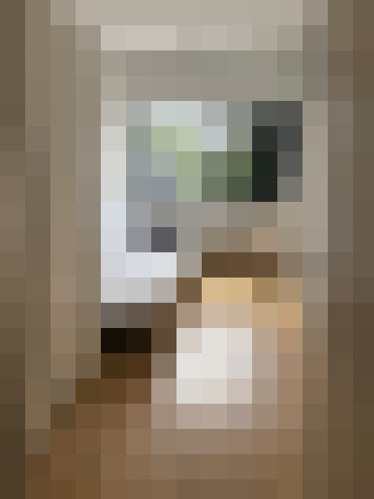 Image 28
