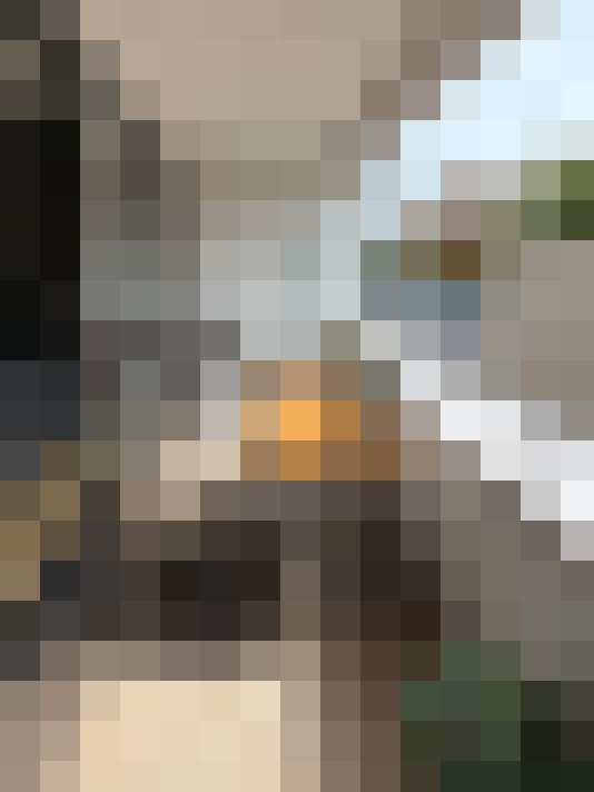 Image 29