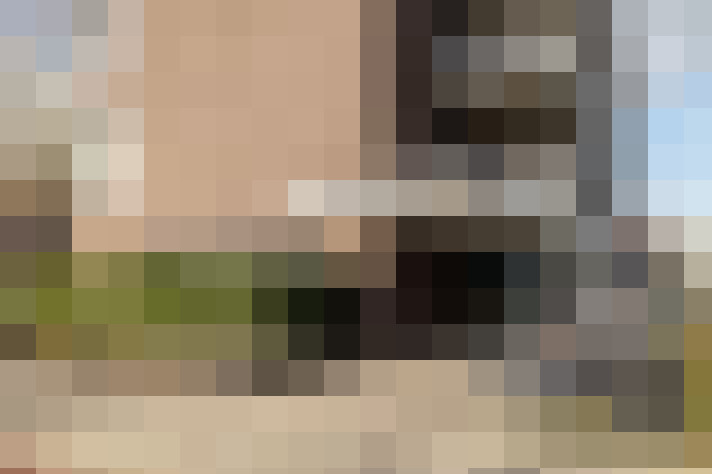 Image 14