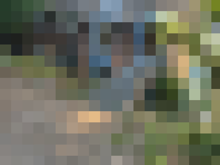 Image 23