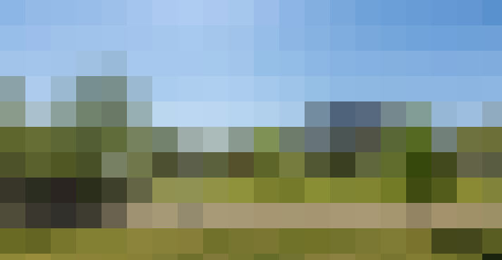 Image 17