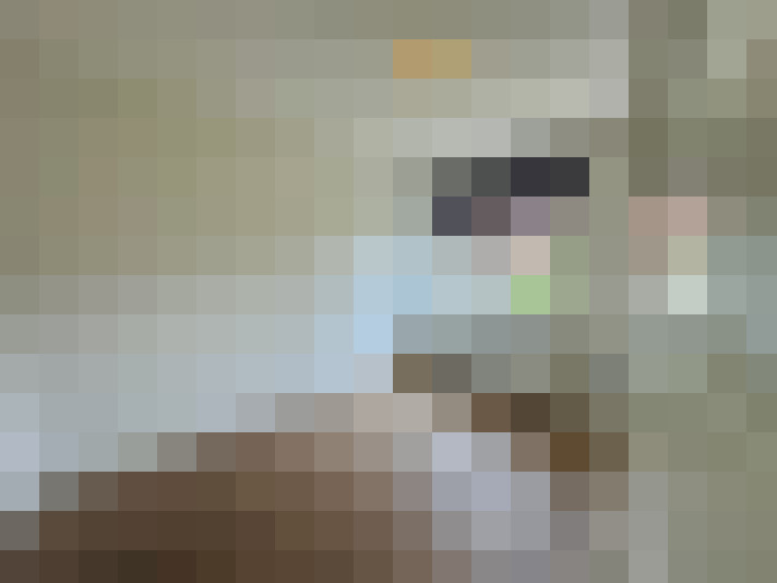 Image 20