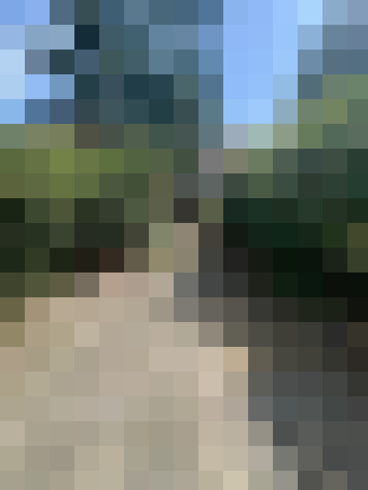 Image 29