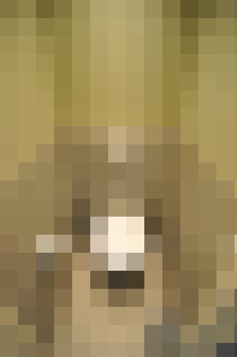 Image 20