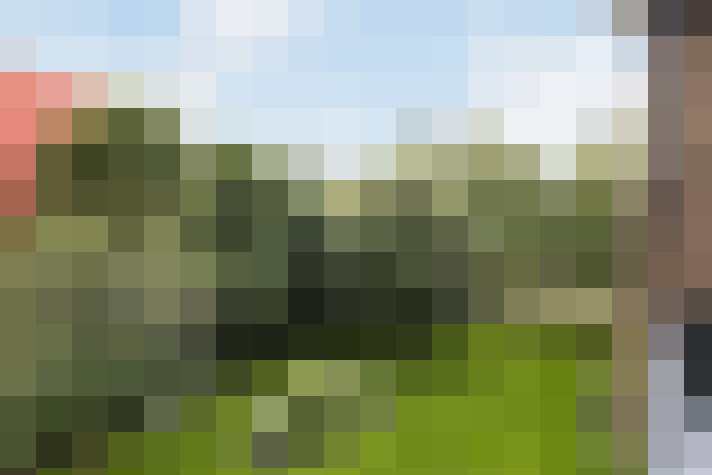 Image 13