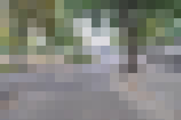 Image 20