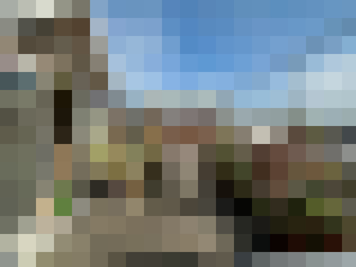 Image 15