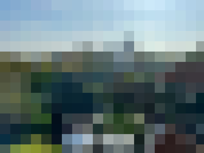 Image 17