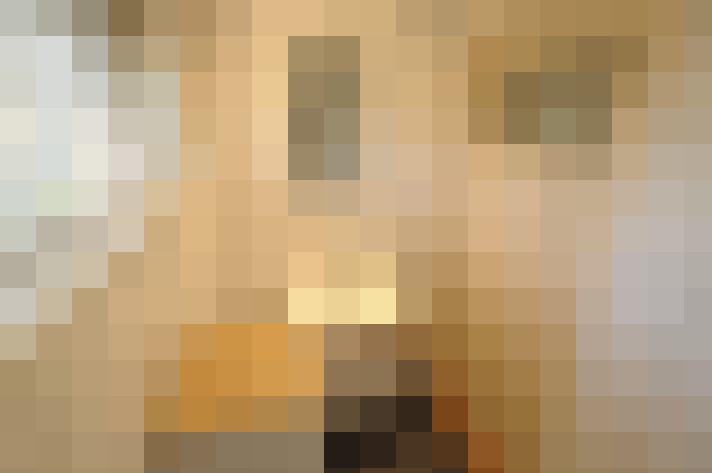 Image 17
