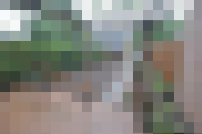 Image 24