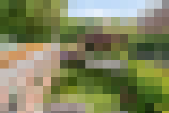 Image 38