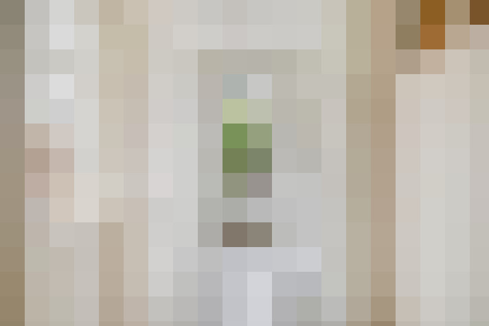 Image 26