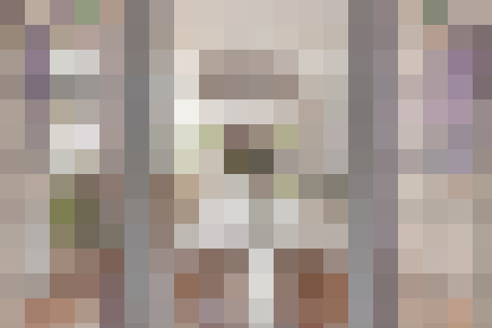 Image 20