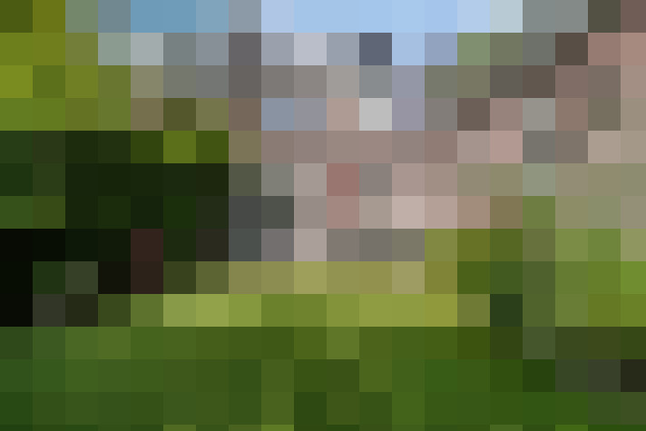 Image 17