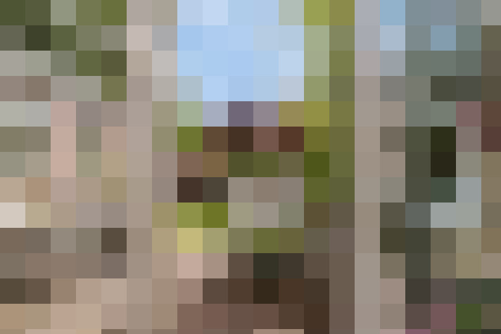 Image 13