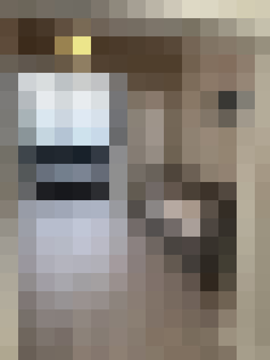  / #15