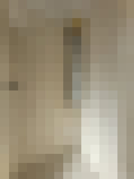 Image 14
