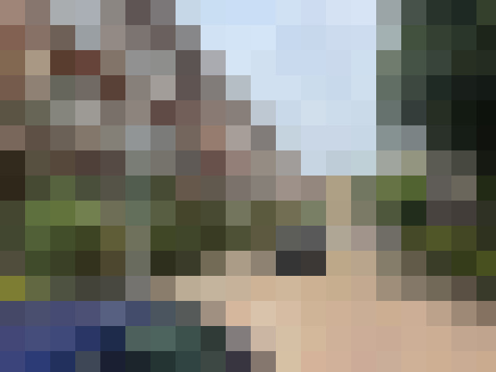 Image 20