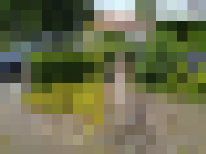 Image 14