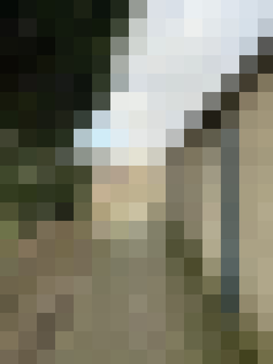  / #31