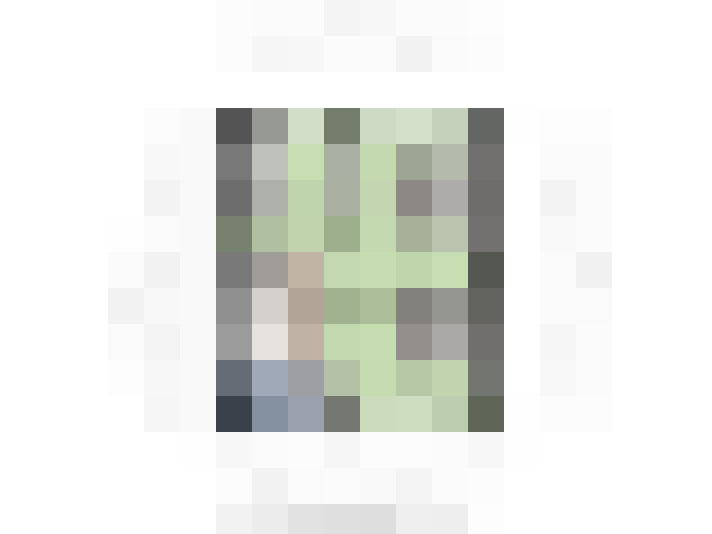  / #6