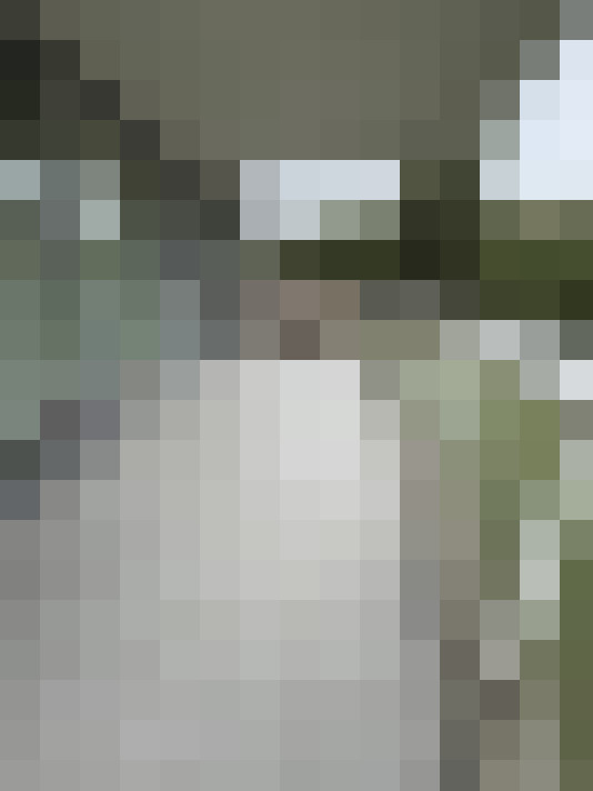 Image 24