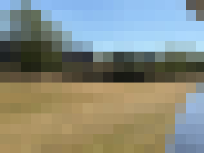Image 31