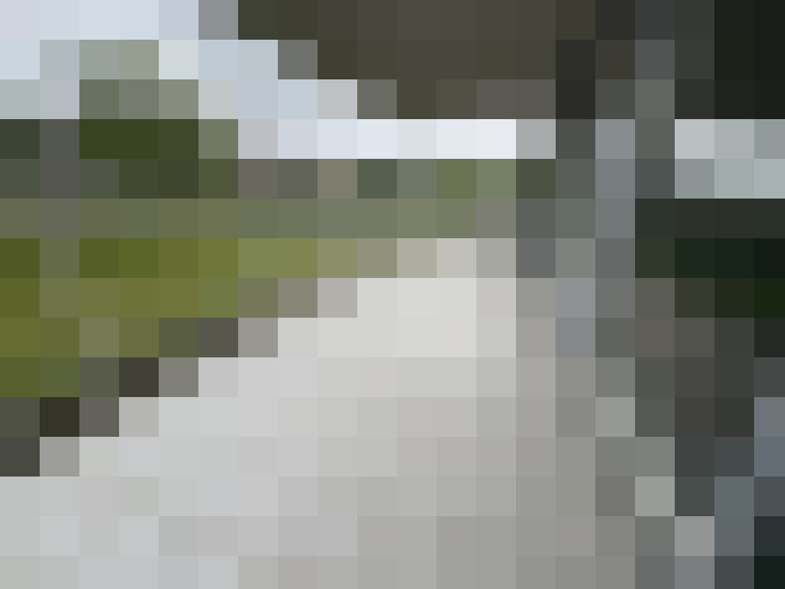 Image 25