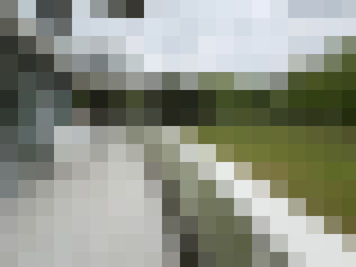 Image 22