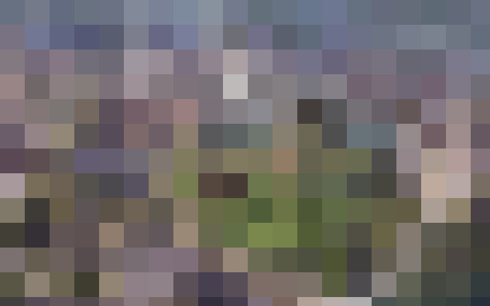 Image 32