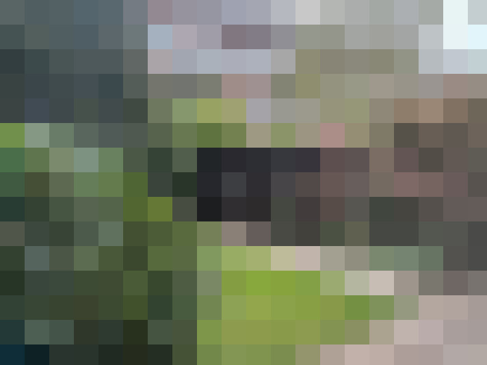 Image 13