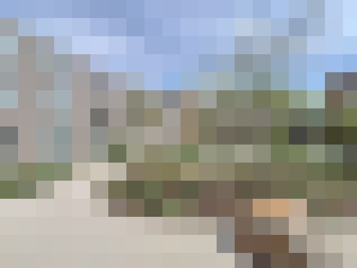 Image 48