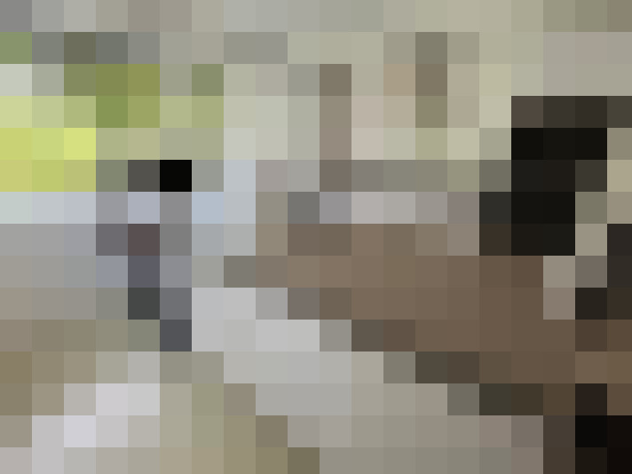 Image 18
