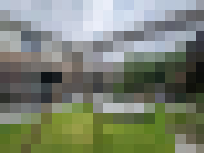Image 65