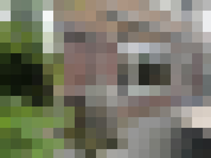Image 62