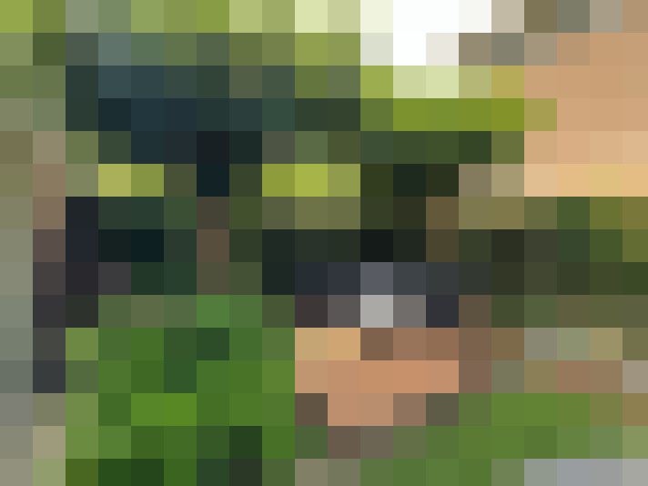 Image 50