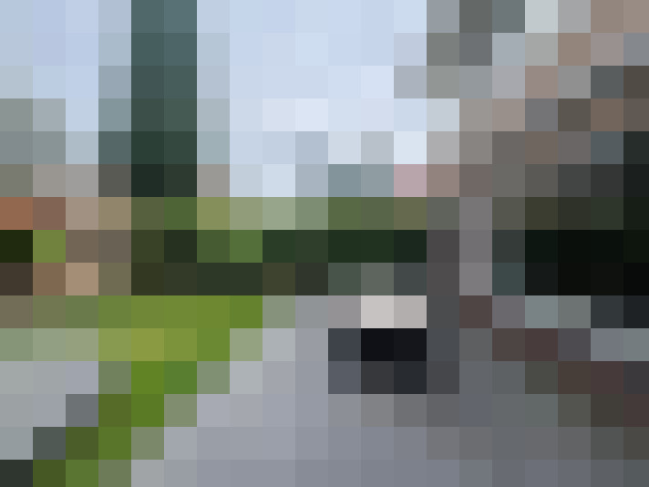 Image 61