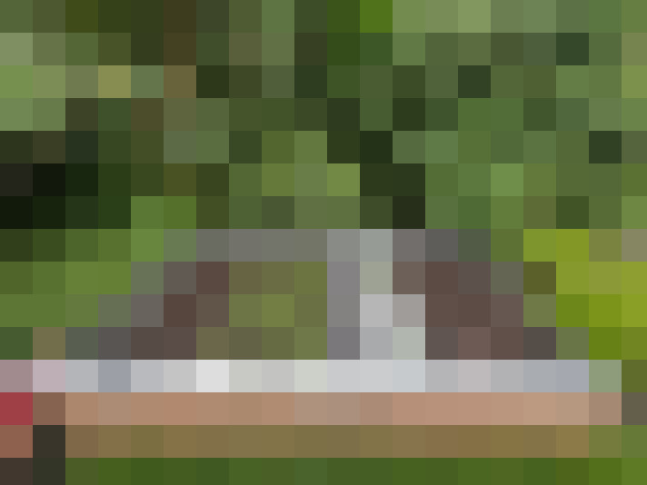 Image 64
