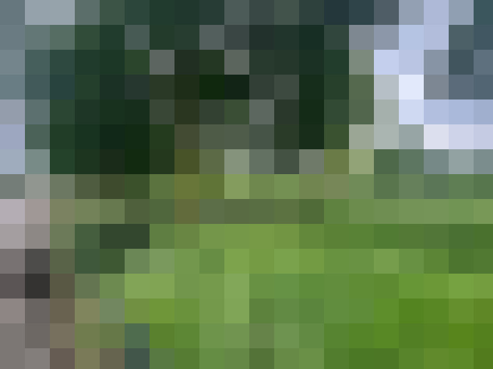 Image 70