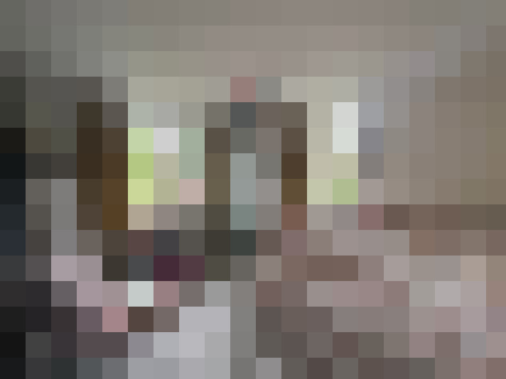Image 42