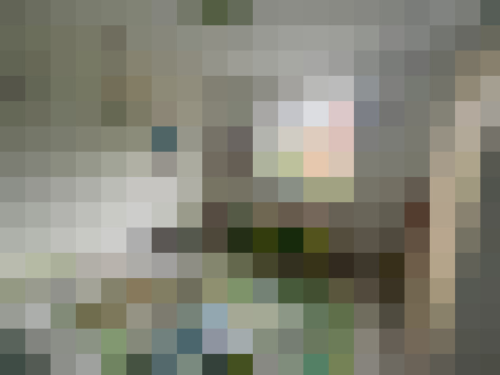Image 47