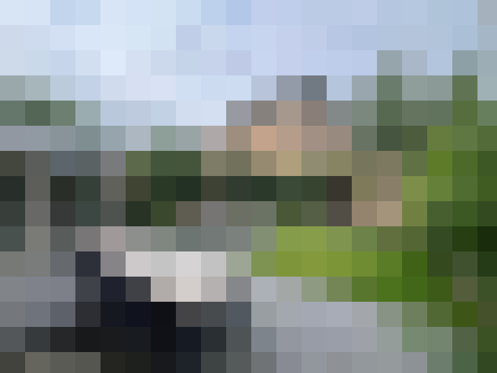 Image 63