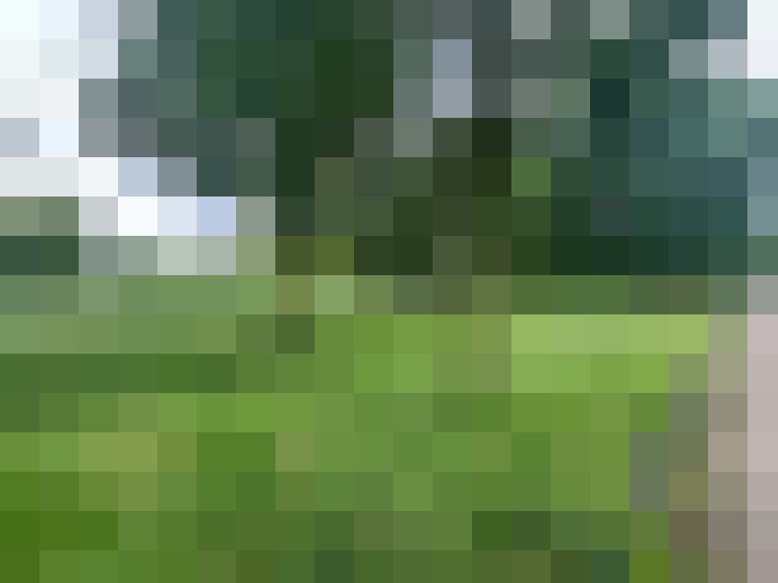 Image 71