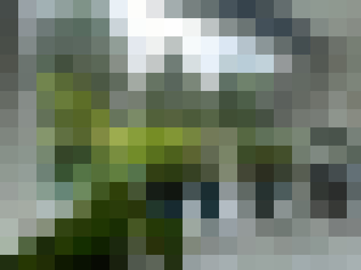 Image 17