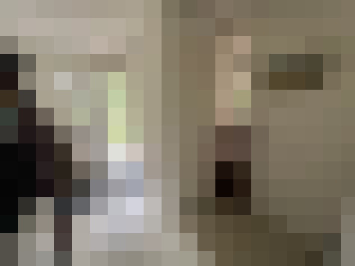 Image 22